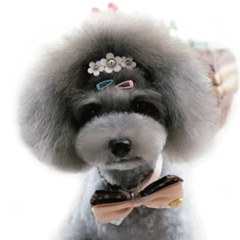 5pc/set Korean Mini 2cm Colorf - Vintage Fashion Dolls ulasan dan harga